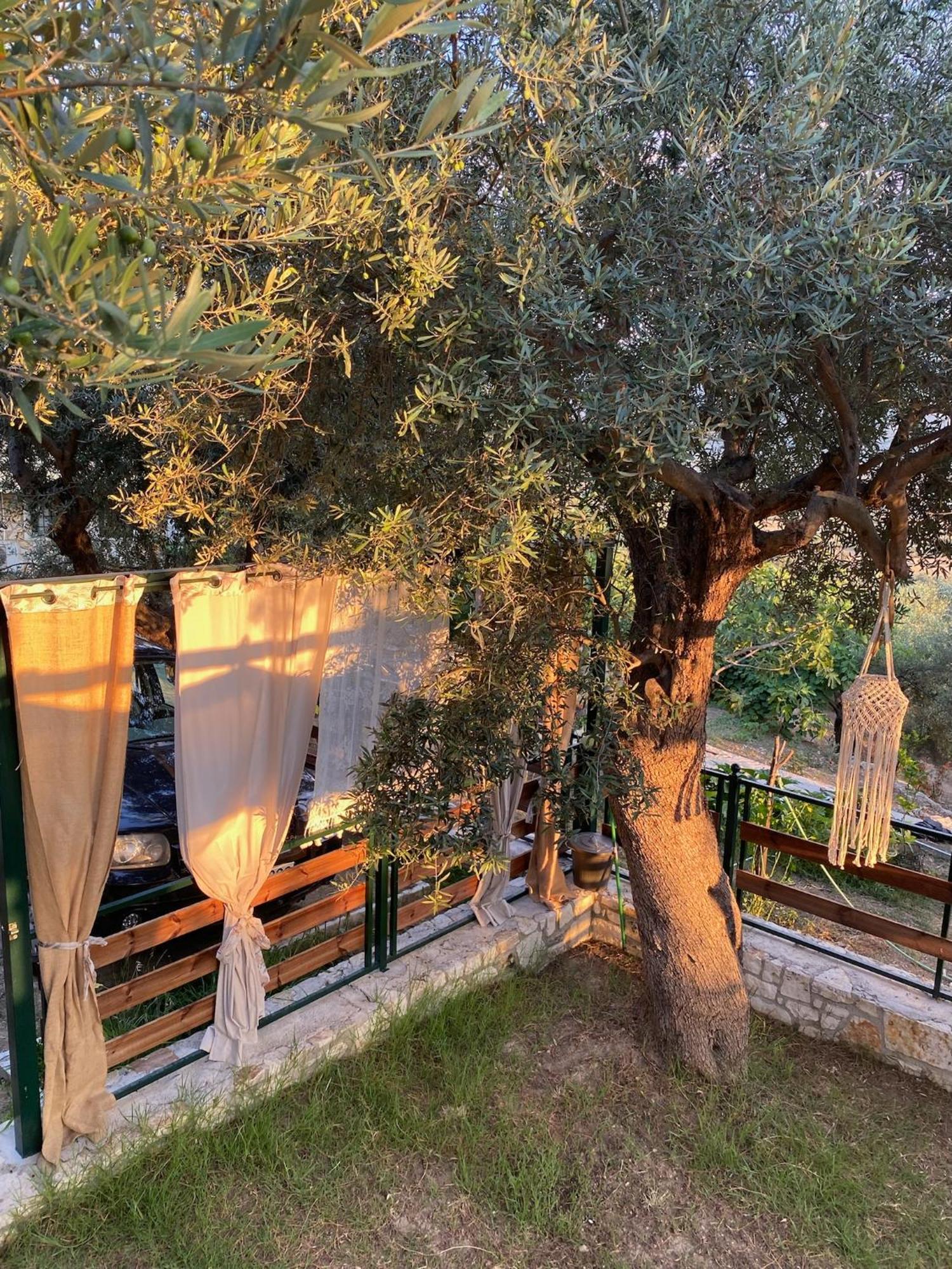 Liodentro - Olea Villa Plataria Eksteriør billede