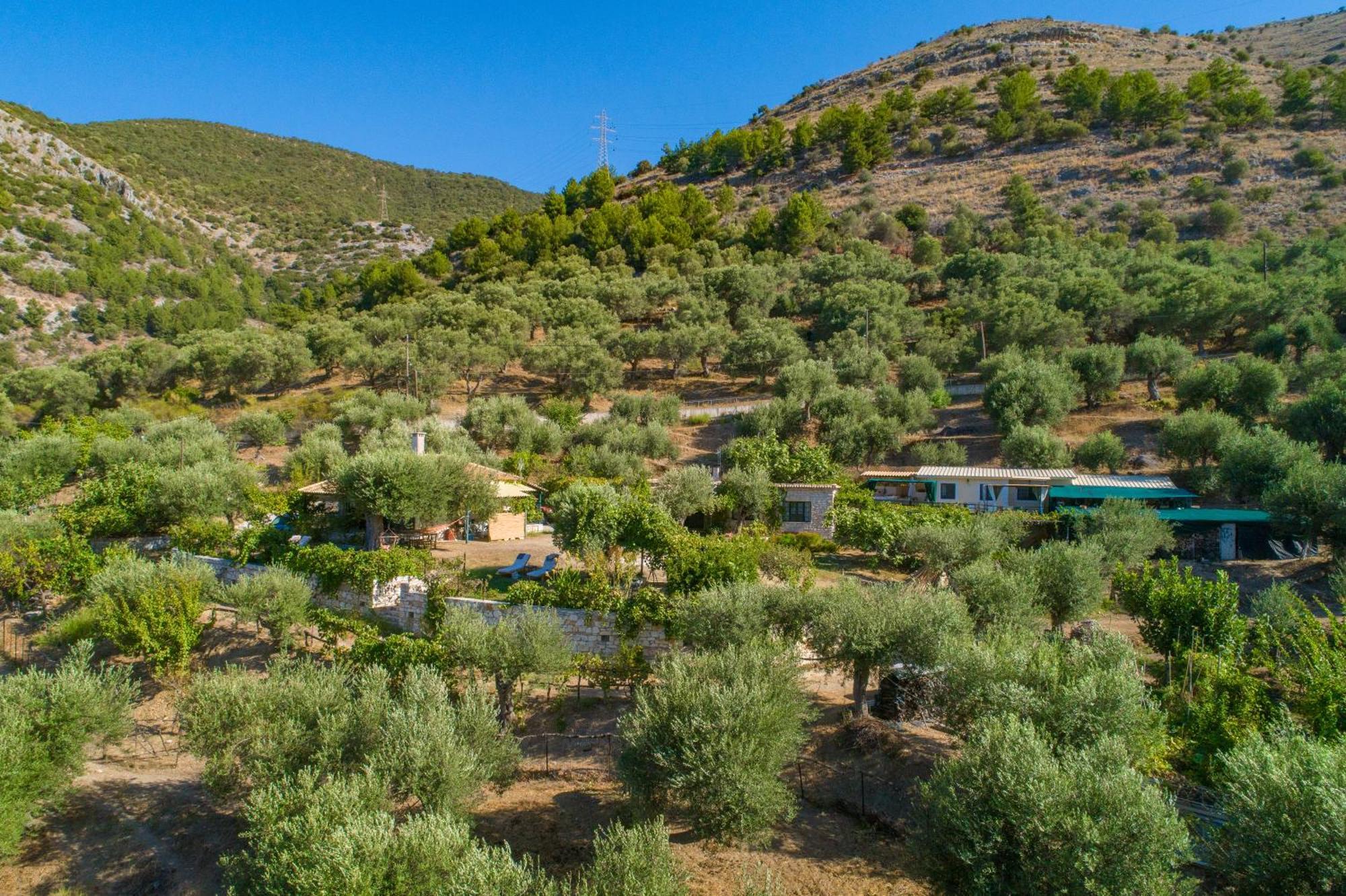 Liodentro - Olea Villa Plataria Eksteriør billede