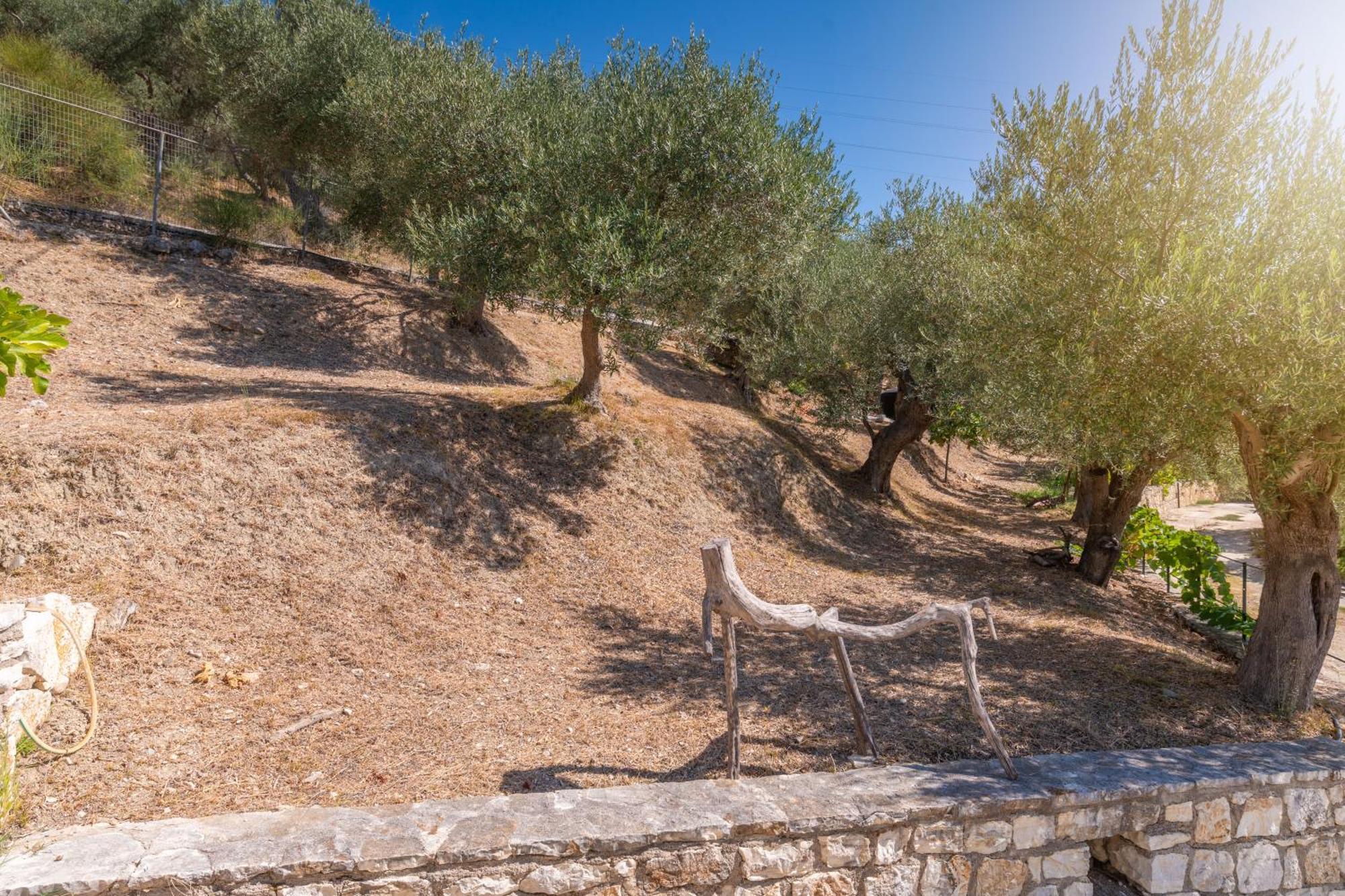 Liodentro - Olea Villa Plataria Eksteriør billede