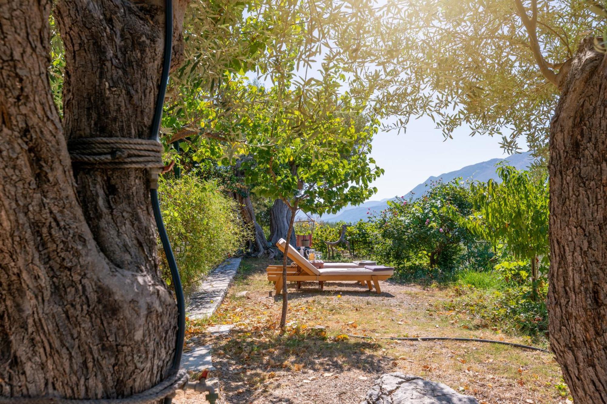 Liodentro - Olea Villa Plataria Eksteriør billede
