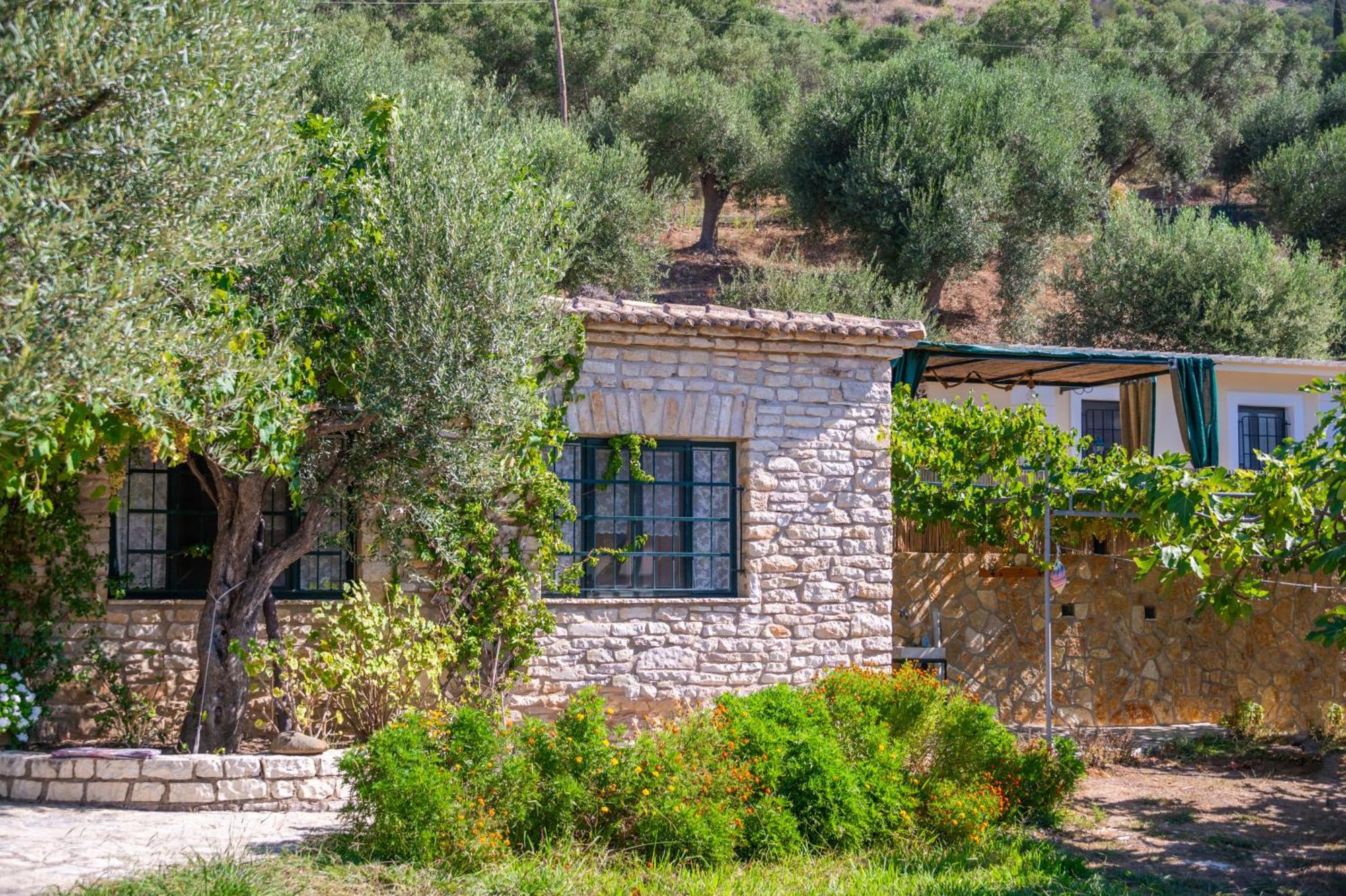 Liodentro - Olea Villa Plataria Eksteriør billede