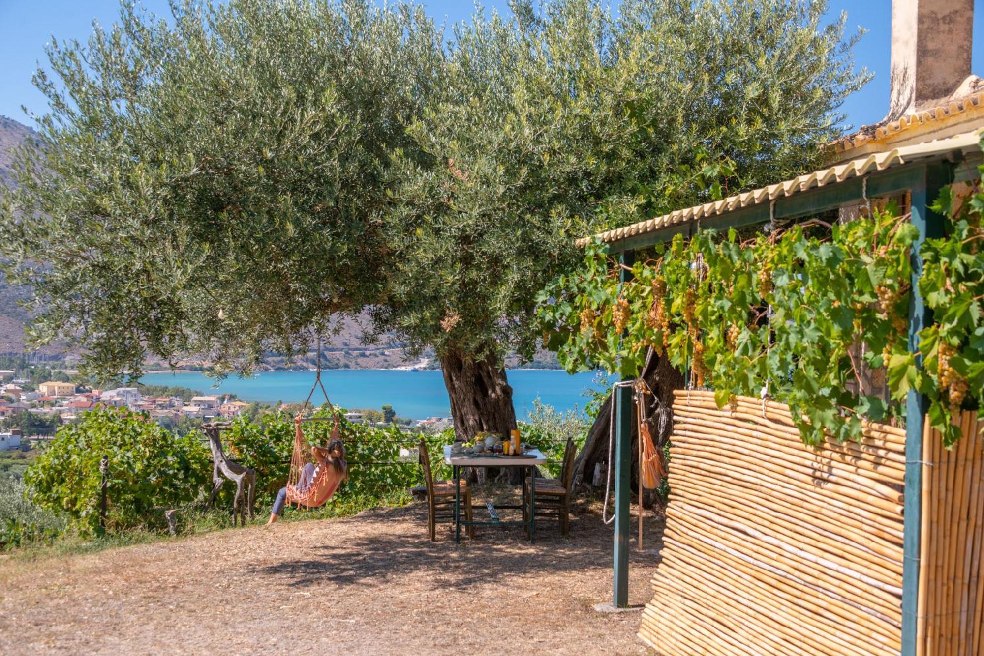 Liodentro - Olea Villa Plataria Eksteriør billede