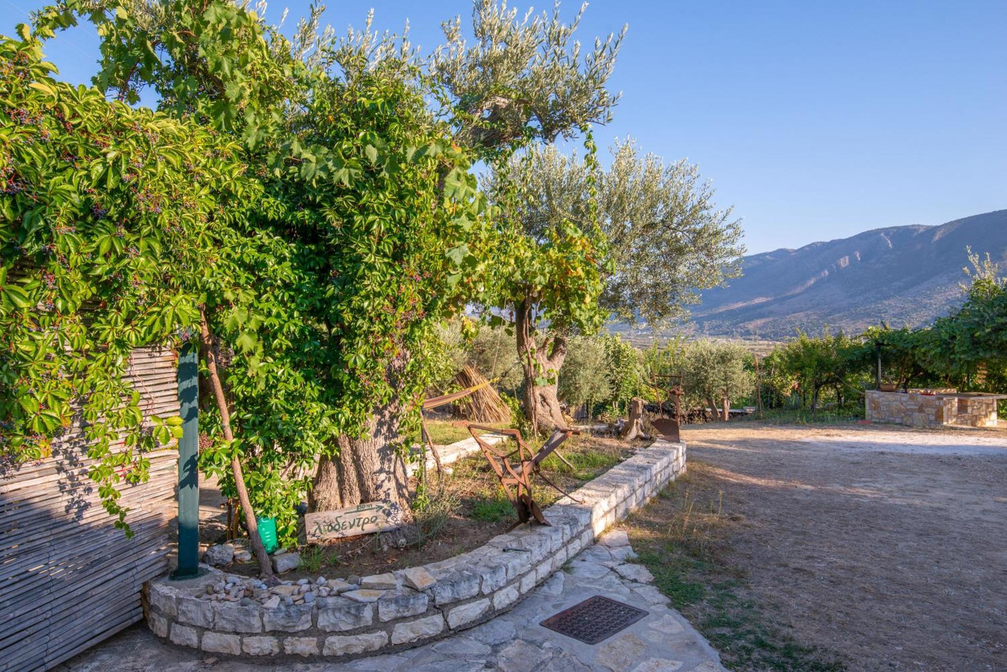 Liodentro - Olea Villa Plataria Eksteriør billede