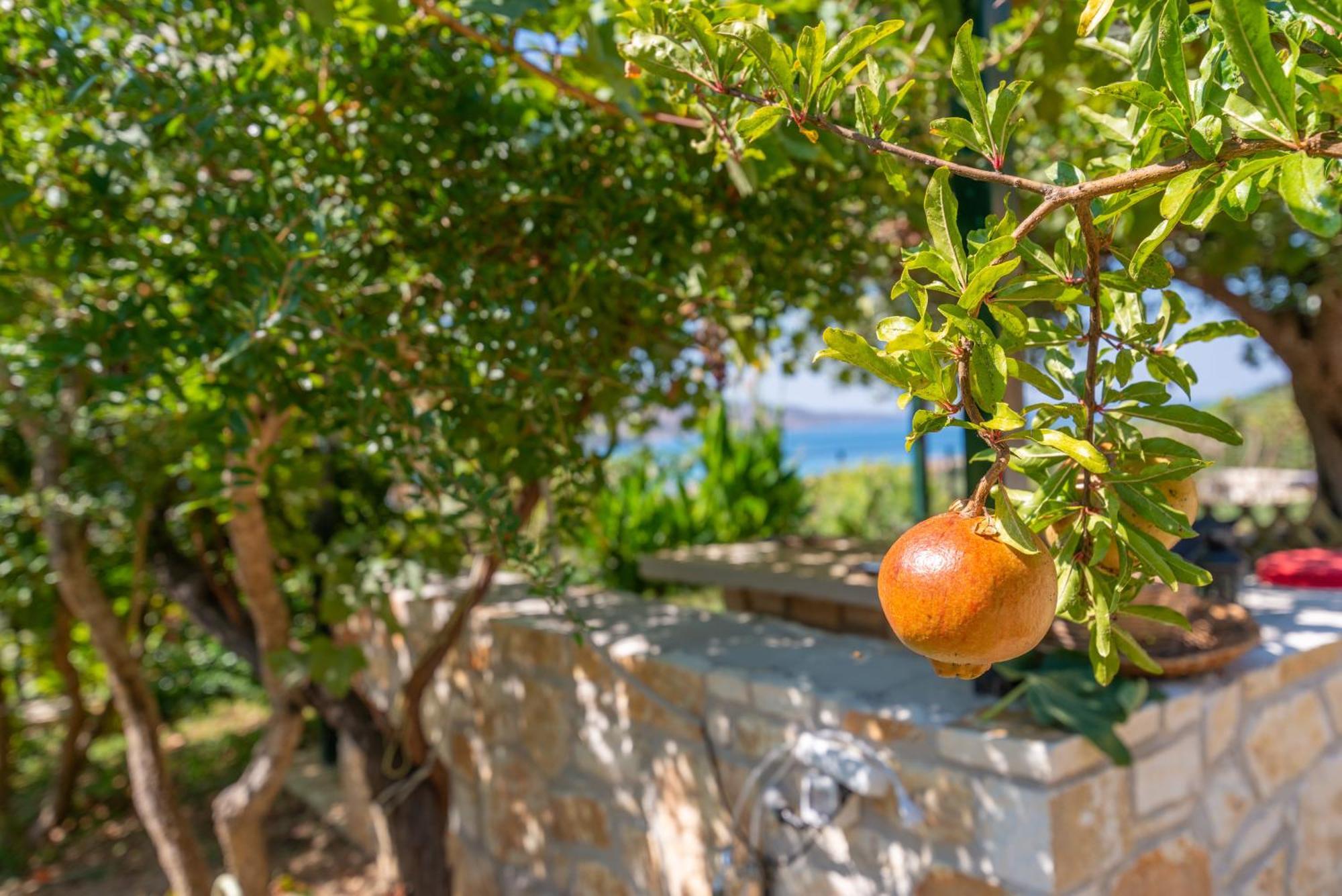 Liodentro - Olea Villa Plataria Eksteriør billede