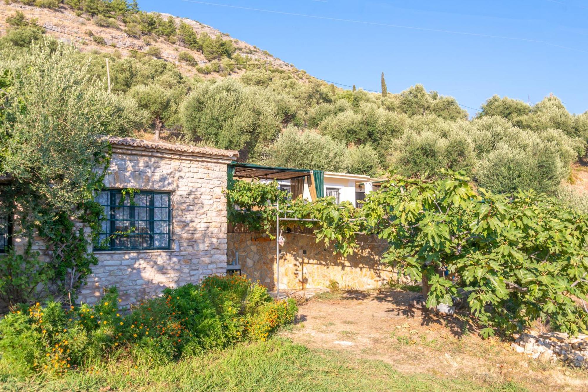 Liodentro - Olea Villa Plataria Eksteriør billede
