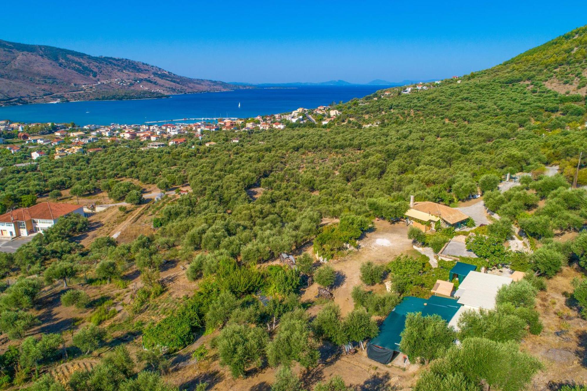 Liodentro - Olea Villa Plataria Eksteriør billede